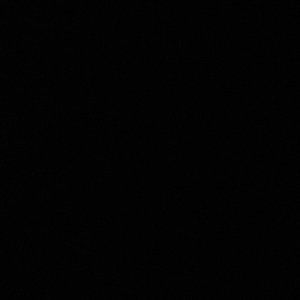 Meet your Posher, Landon